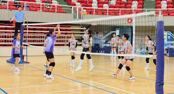 2024年五大联赛精彩看点与前瞻 - 开云官网